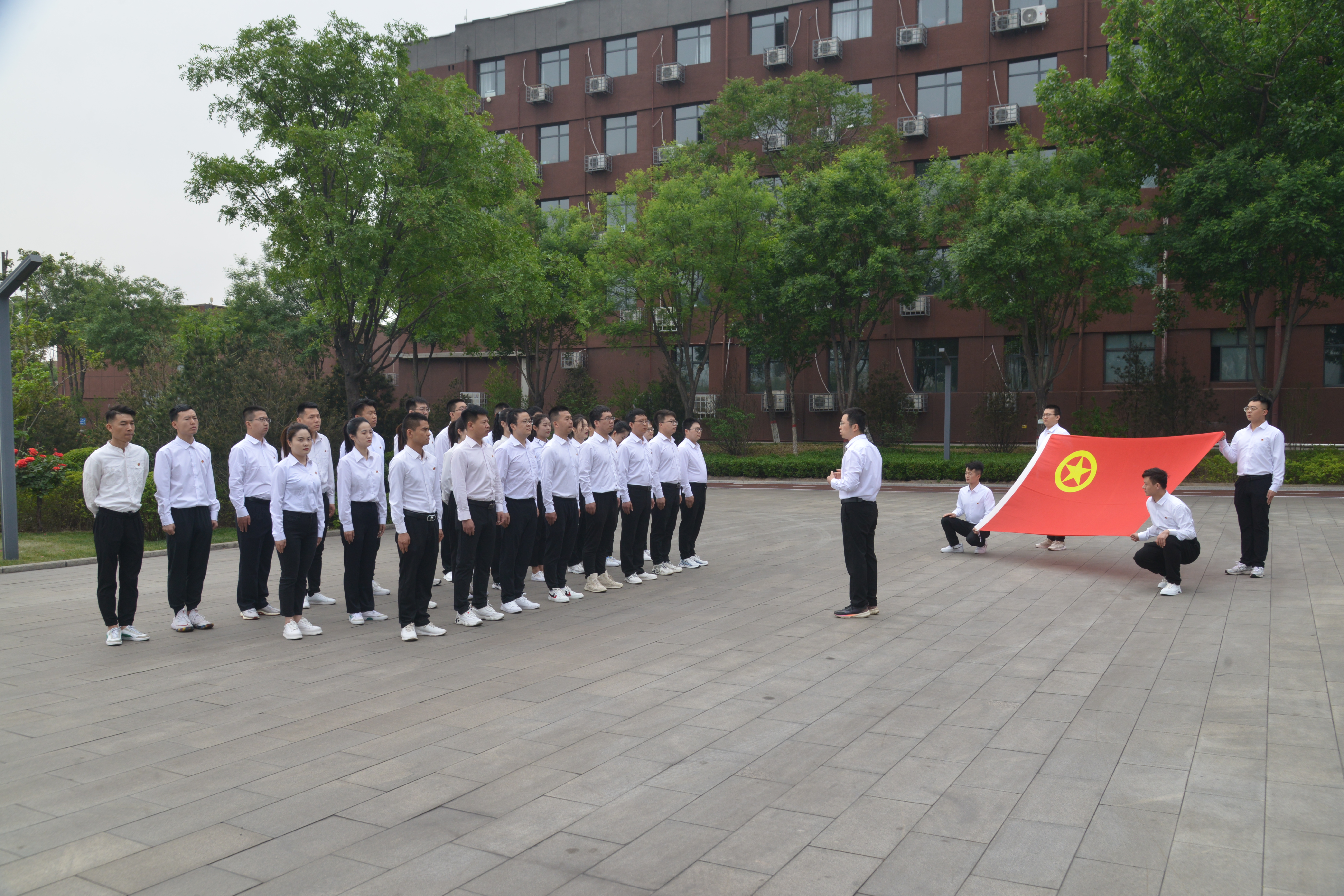 龍鋼公司團委榮獲全國鋼鐵行業(yè)“五四紅旗團委（標兵）