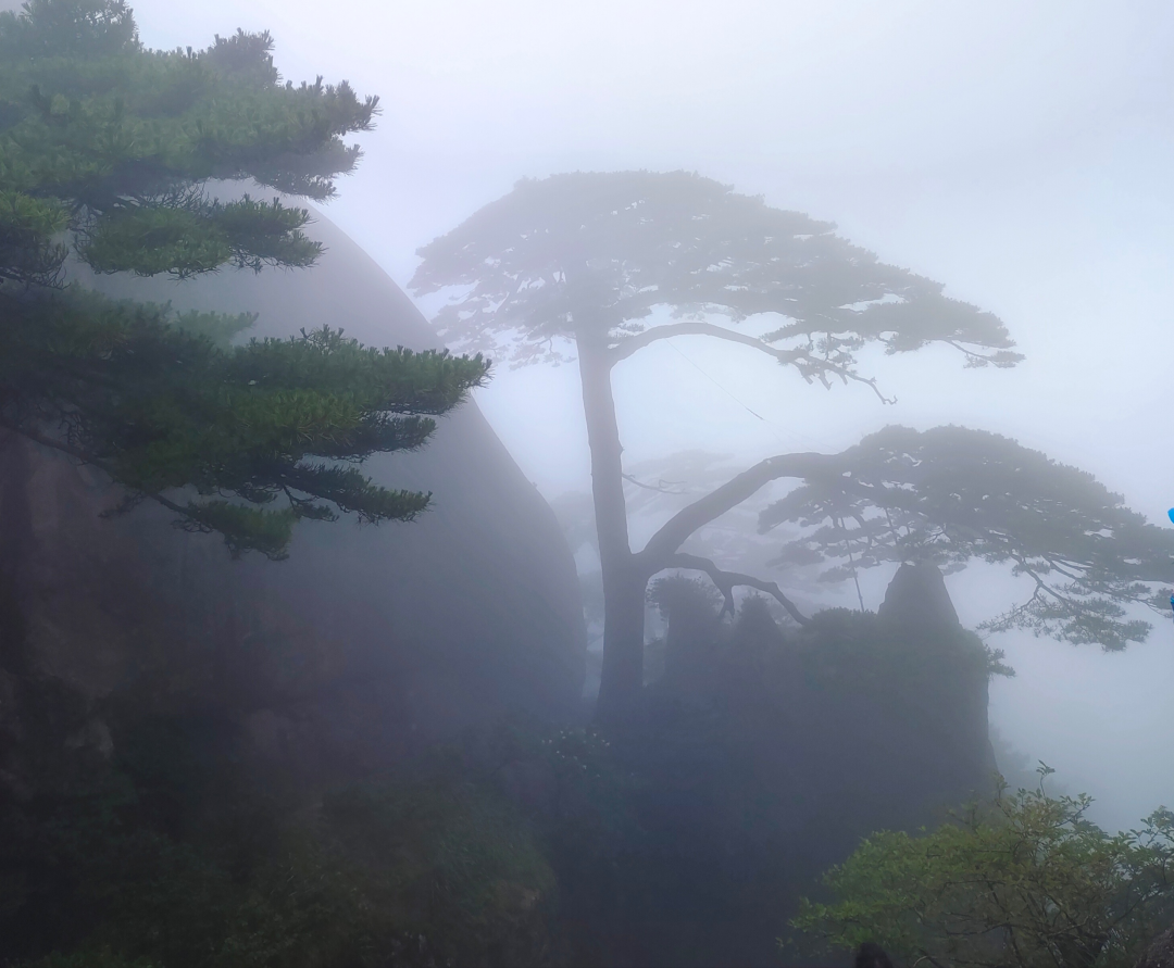 游黃山