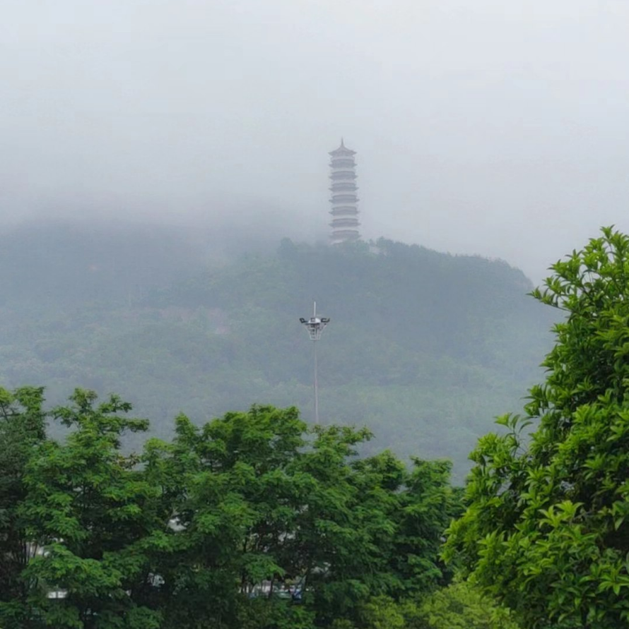 讀書 聽雨