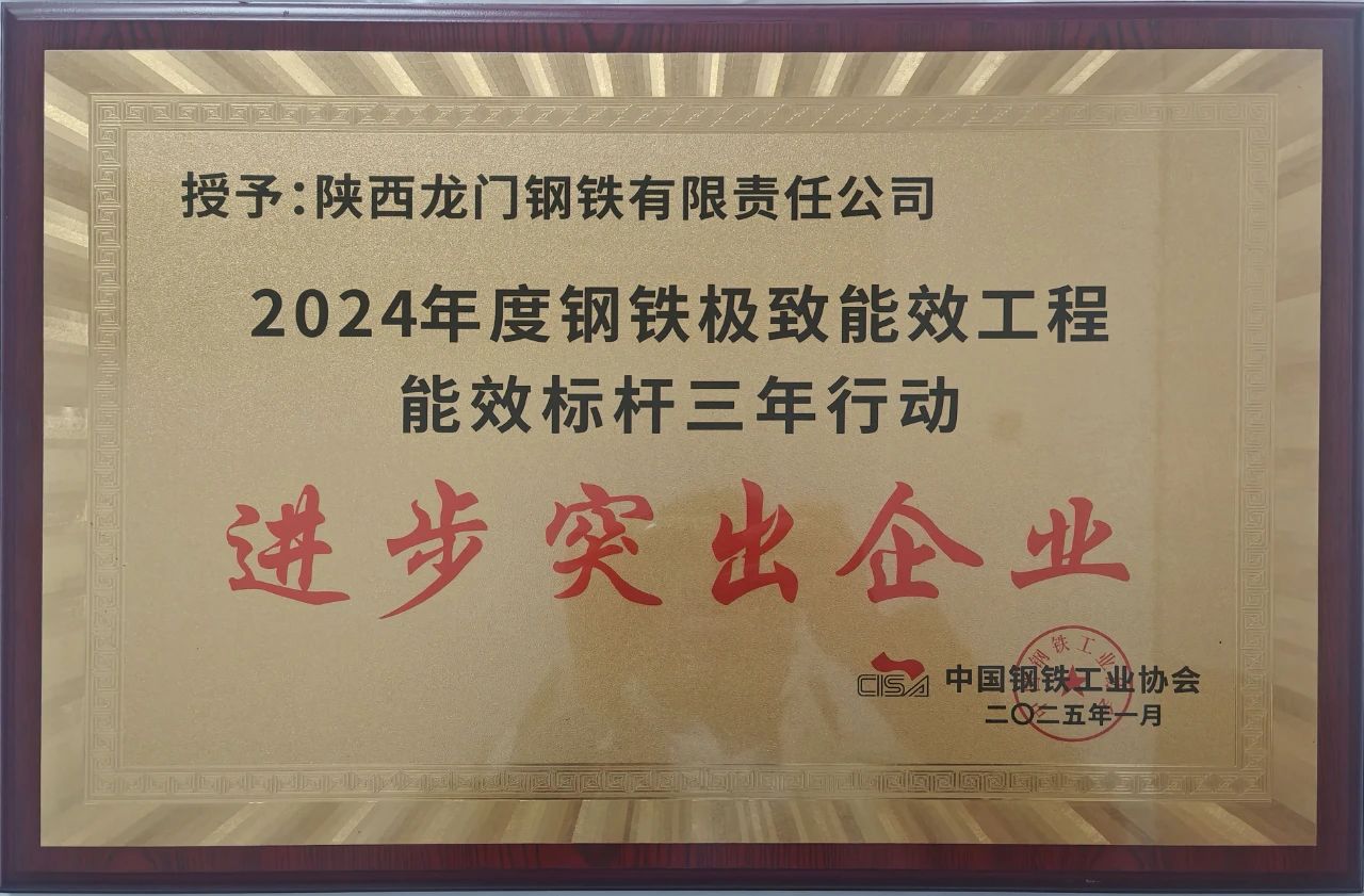 喜訊！龍鋼公司榮獲2024年度鋼鐵極致能效工程能效 標(biāo)桿三年行動(dòng)“進(jìn)步突出企業(yè)”